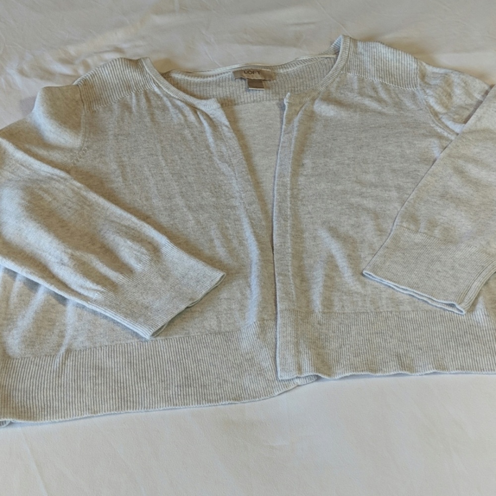 EUC! Ann Taylor Loft Sweater!